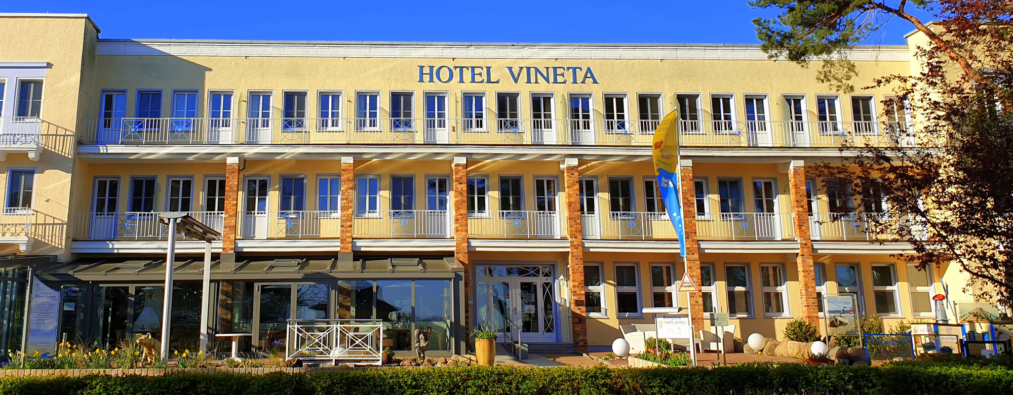 vineta0